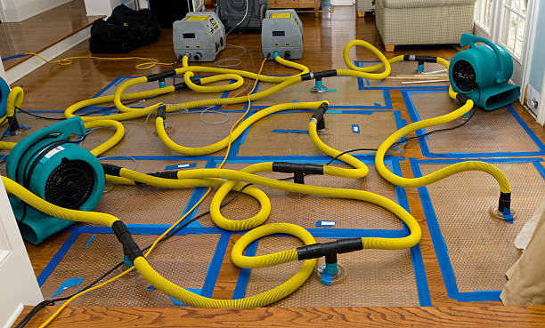 Professional Crawl Space Water Removal technician working in Irons, MI